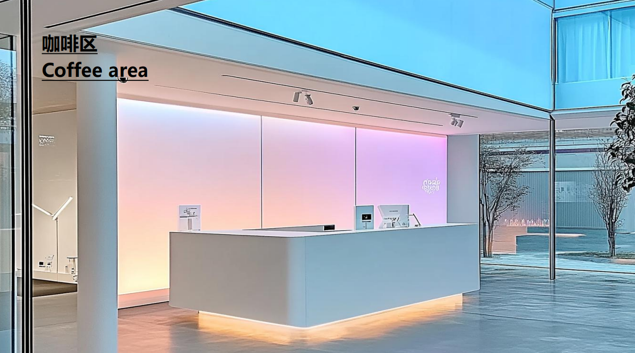 morning猫饼买手店