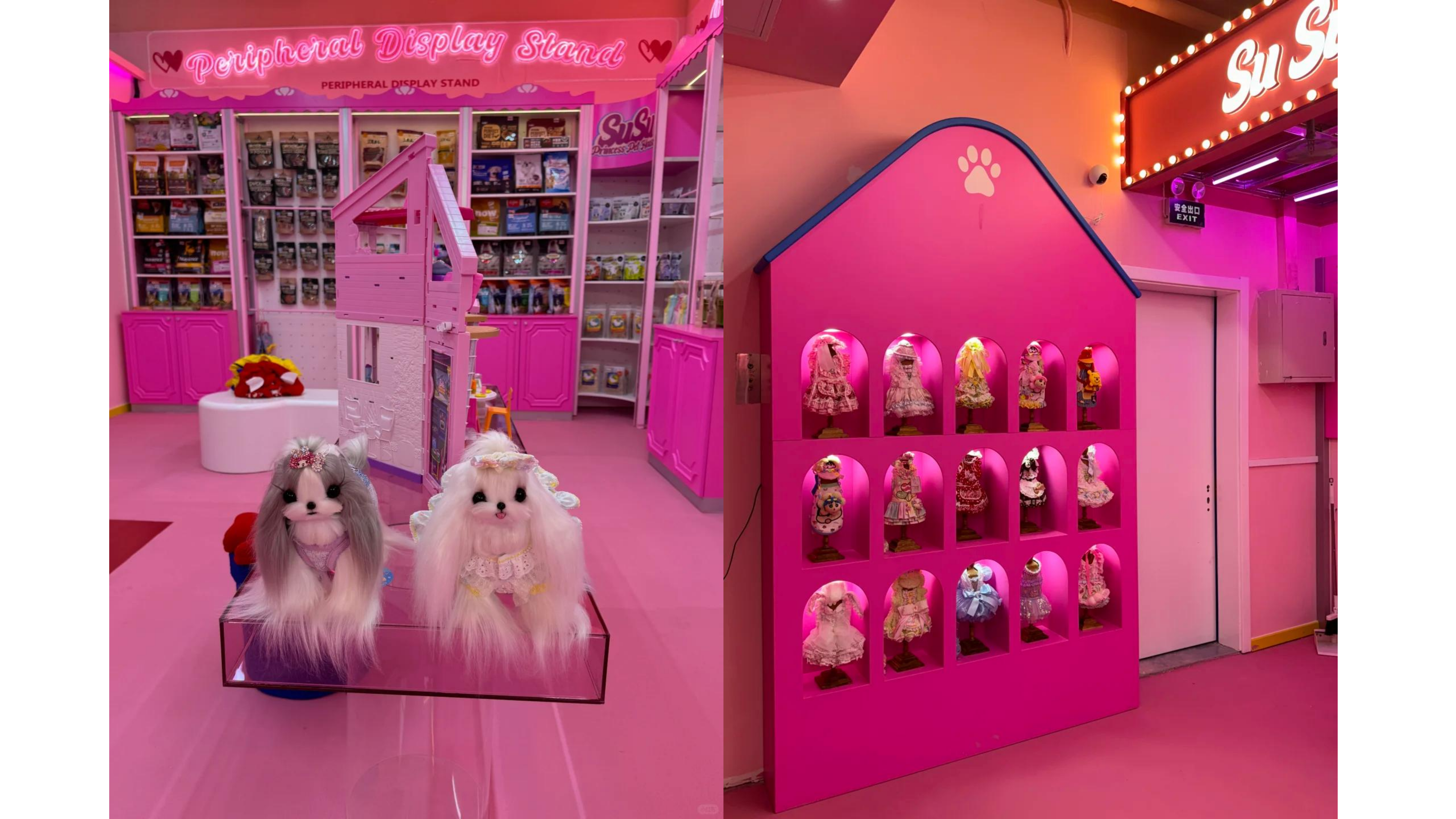 喵星人与汪星人