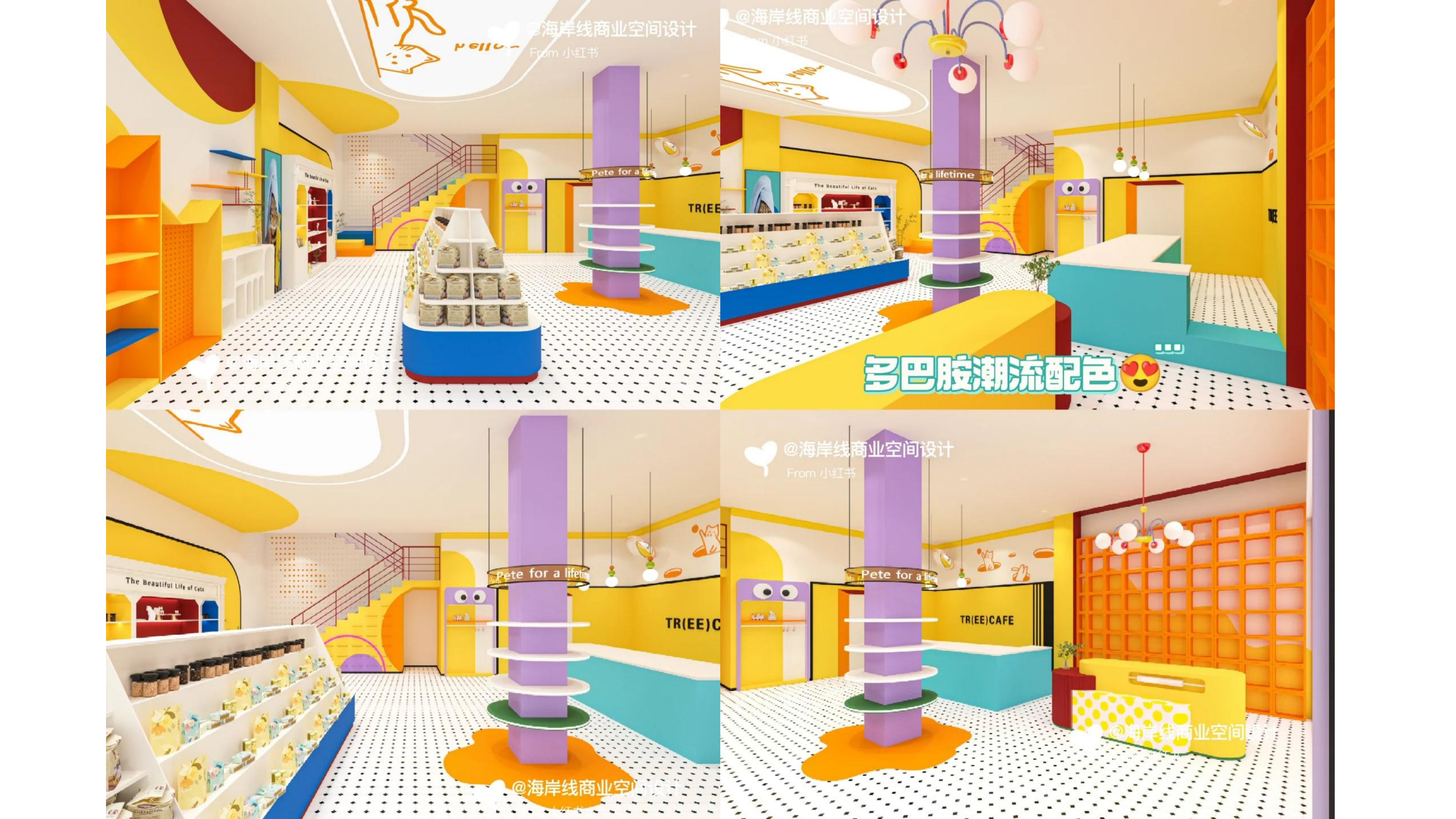 喵星人与汪星人